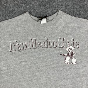 TSI Hurricane WV T-Shirt Mens L Gray New Mexico State Graphic College Tee